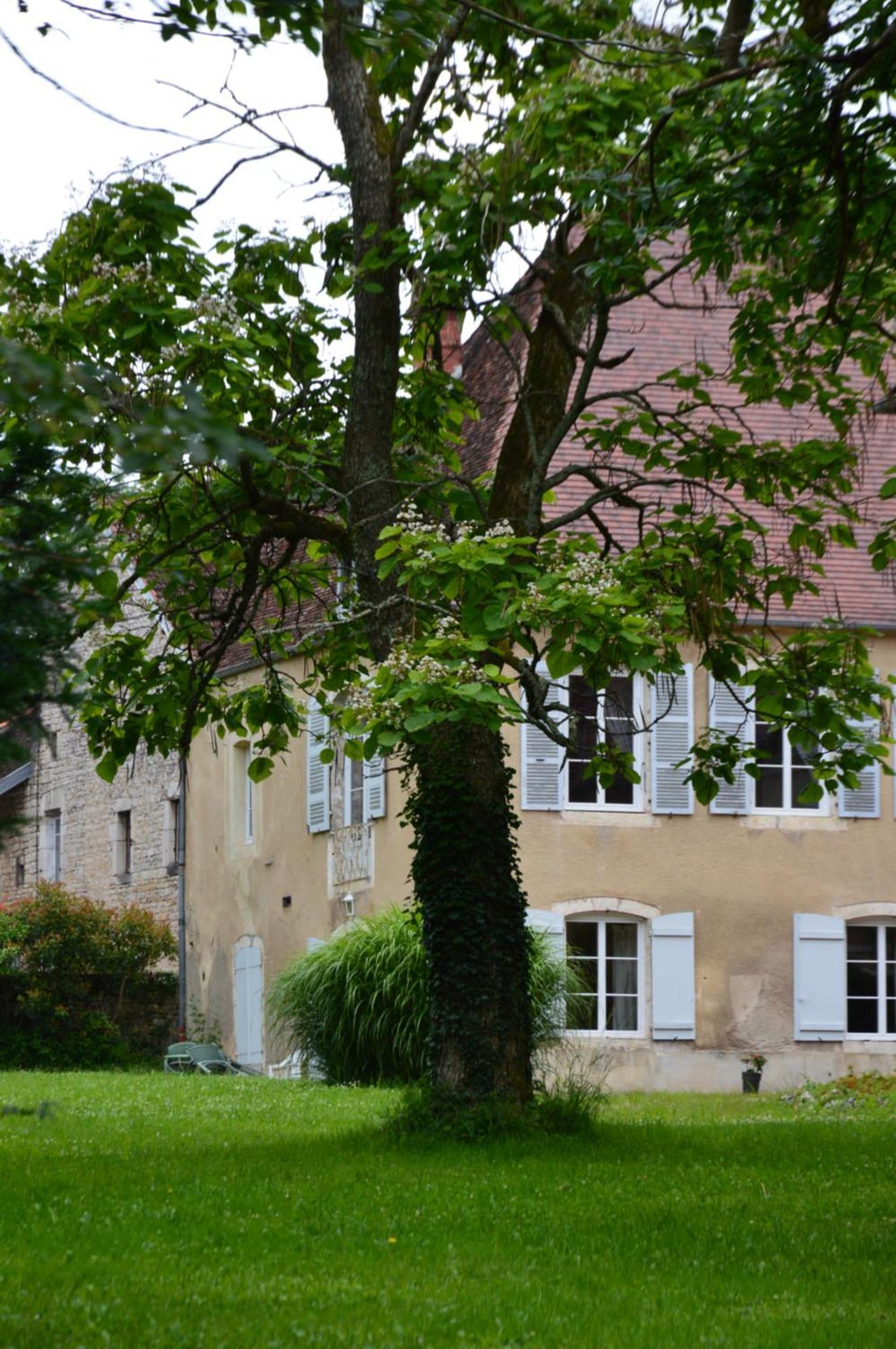 Appartamento La Tourelle D'Aiglepierre Esterno foto